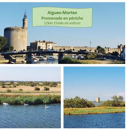 T2 Magellan Parking Prive Wifi - Centre-ville - Rossiconciergerie - Linge En Option * La Grande-Motte