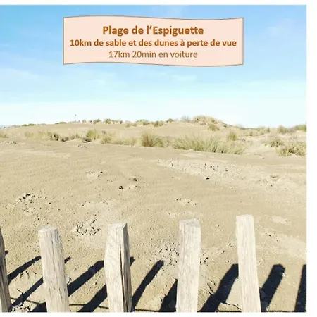 Διαμέρισμα T2 Magellan Parking Prive Wifi - Centre-ville - Rossiconciergerie - Linge En Option