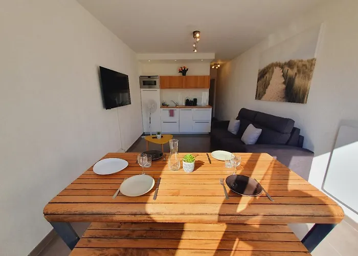 T2 Magellan Parking Prive Wifi - Centre-ville - Rossiconciergerie - Linge En Option Διαμέρισμα Λα Γκραντ-Μοτ